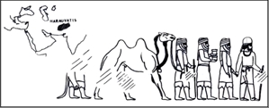تخت جمشید